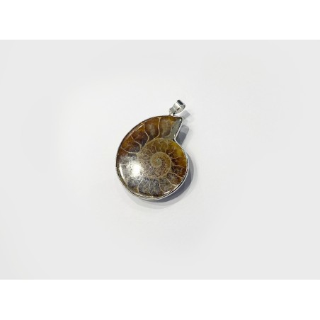 CIONDOLO IN AMMONITE FOSSILE