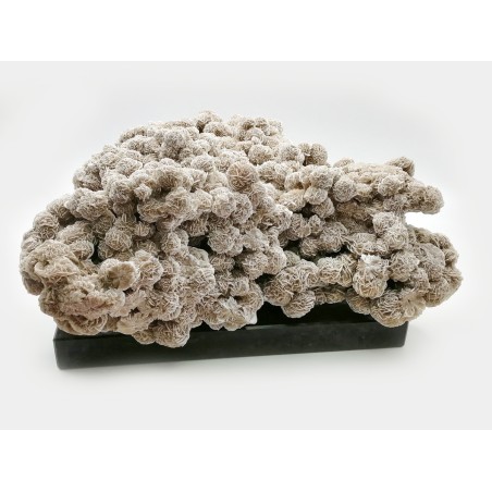 MINERALE ROSA DEL DESERTO CON BASE IN MARMO LABRADOR BLUE