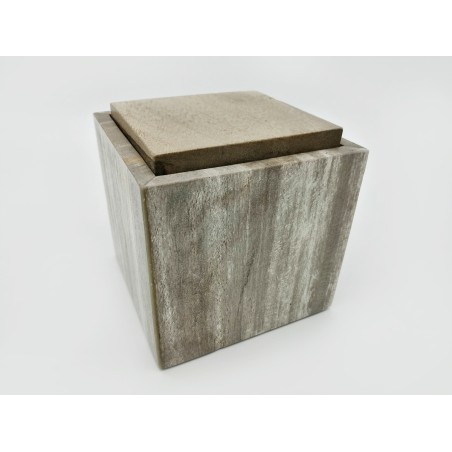 SCATOLA IN LEGNO FOSSILE