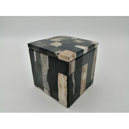 SCATOLA IN LEGNO FOSSILE