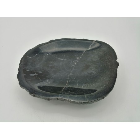 SVUOTATASCHE IN LEGNO FOSSILE