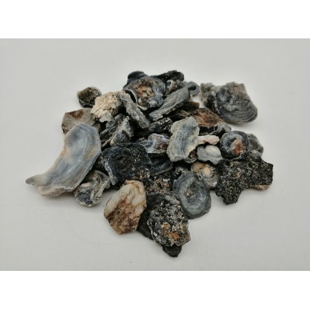 PIETRA AGATA CONCHIGLIATA