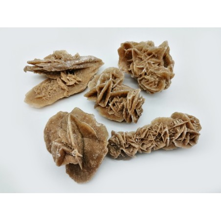 PIETRA ROSA DEL DESERTO