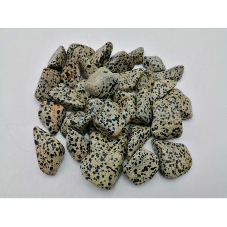 PIETRA DIASPRO DALMATA