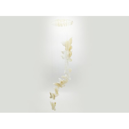 ACCHIAPPASOGNI FARFALLA