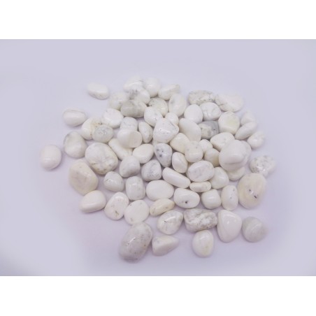 PIETRA DIASPRO CONCHIGLIA