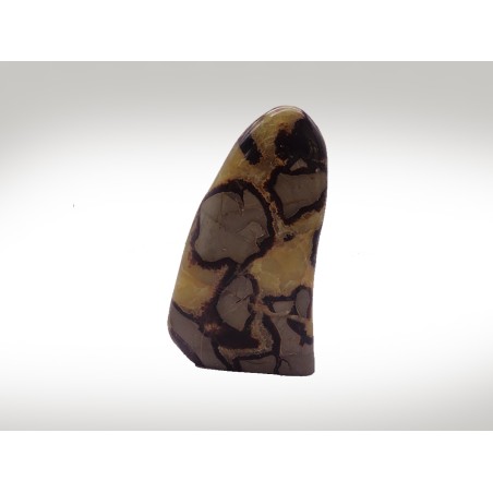 FORMA LIBERA SEPTARIA