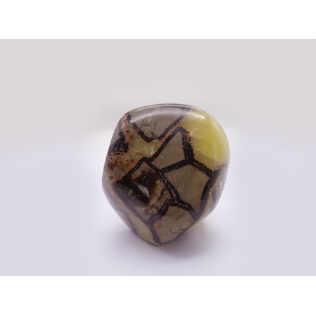 FORMA LIBERA SEPTARIA