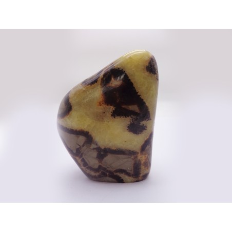 FORMA LIBERA SEPTARIA