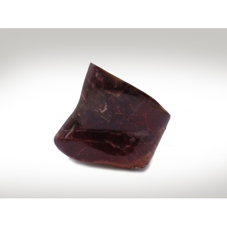 FORMA LIBERA LEGNO FOSSILE