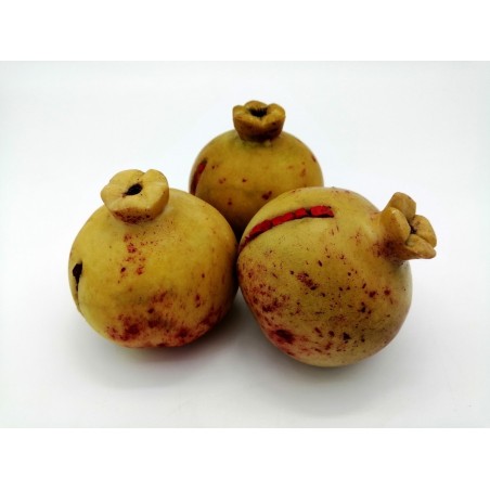 MELOGRANO- FRUTTA GRANDE