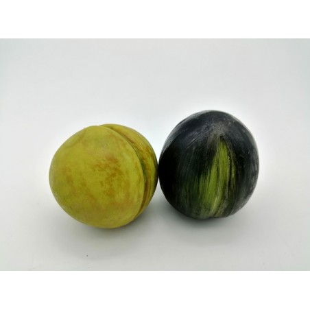 PRUGNE- FRUTTA GRANDE