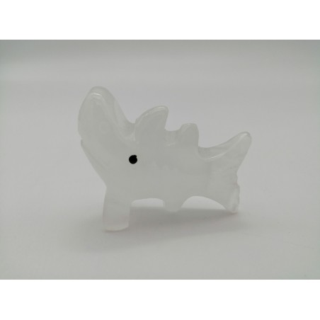 SQUALO IN ONICE BIANCO