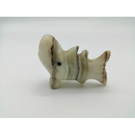 SQUALO IN ONICE TEHUACAN