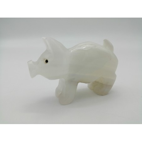 MAIALE IN ONICE BIANCO