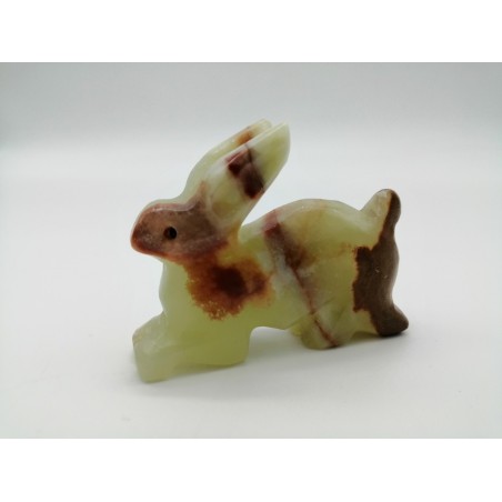 CONIGLIO IN ONICE