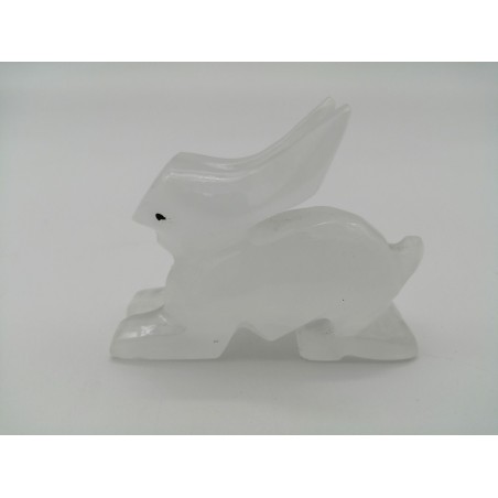 CONIGLIO IN ONICE BIANCO