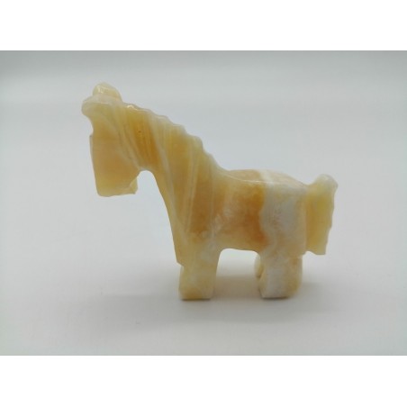 CAVALLO IN ONICE
