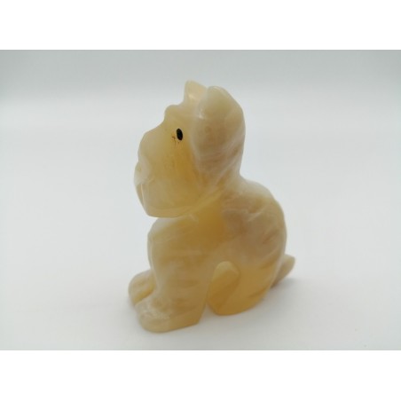 CANE SEDUTO IN ONICE