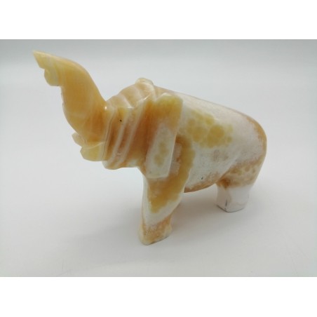 ELEFANTE IN ONICE
