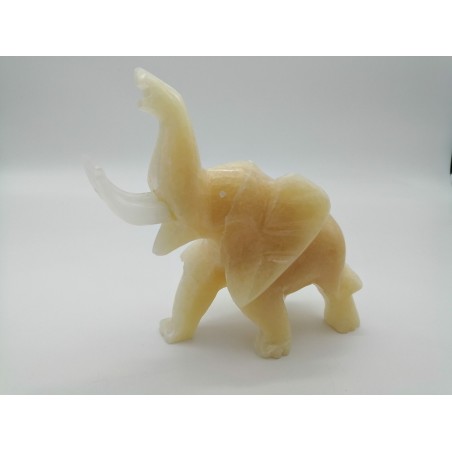 ELEFANTE IN ONICE