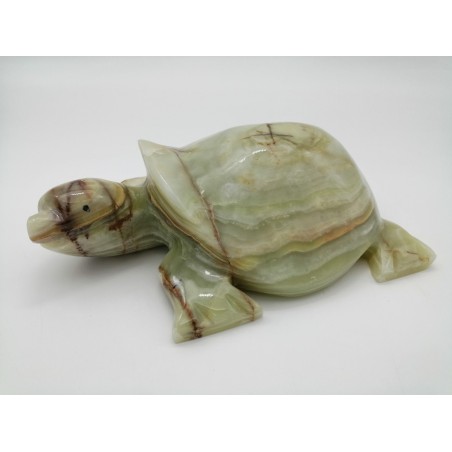 TARTARUGA IN ONICE VERDE