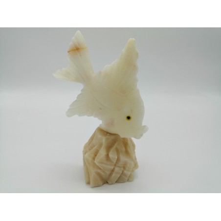 PESCE IN ONICE BIANCO