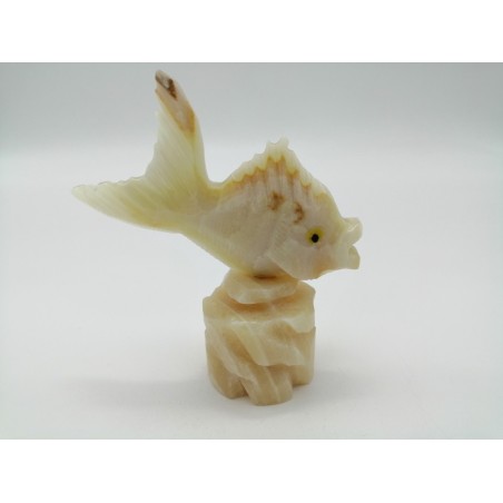 PESCE IN ONICE BIANCO