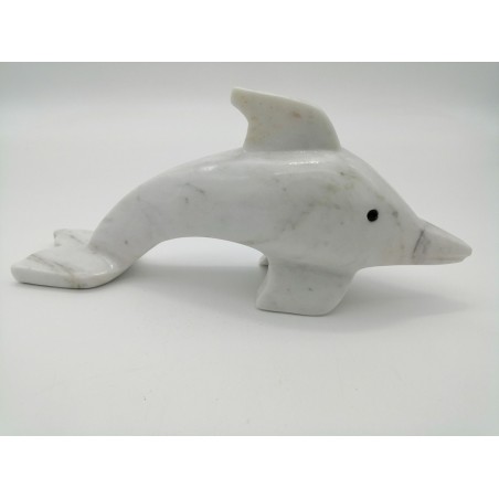 DELFINO IN BIANCO BEGO