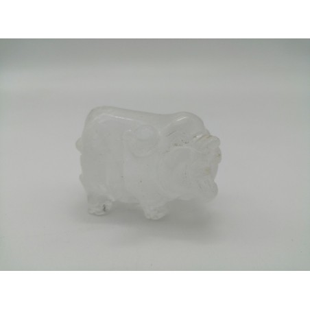 MAIALE IN ONICE BIANCO