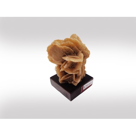 ROSA DEL DESERTO SU BASE