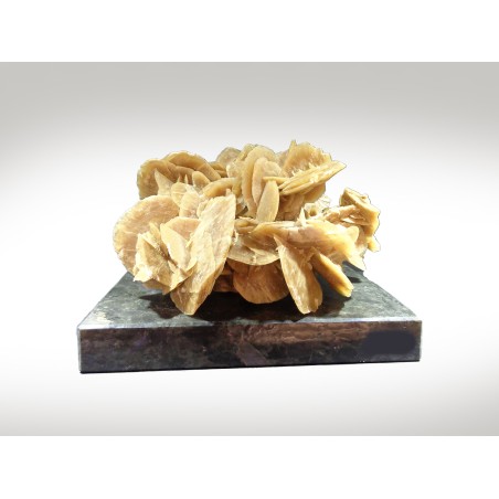 ROSA DEL DESERTO SU BASE