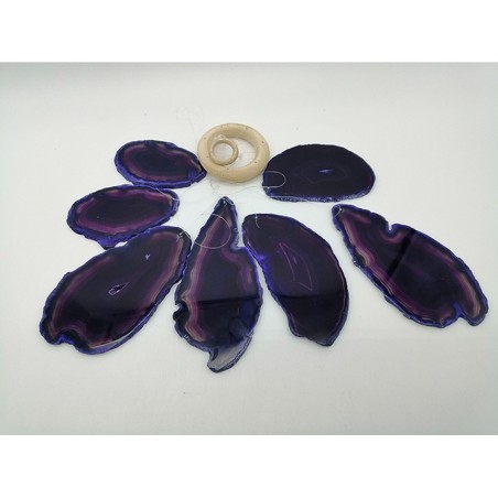 ACCHIAPPASOGNI AGATA VIOLA