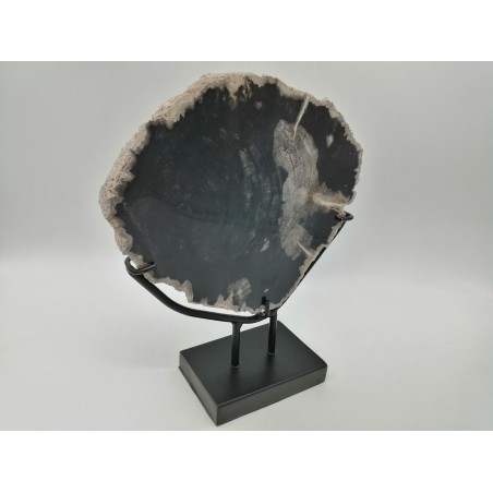 FETTA DI LEGNO PIETRIFICATO SU BASE IN FERRO