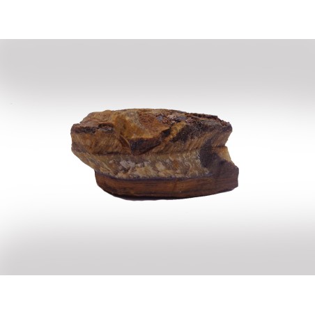 MINERALE GREZZO OCCHIO DI TIGRE