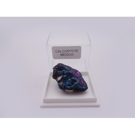 MINERALE DA COLLEZIONE CALCOPIRITE IN SCATOLA SINGOLA