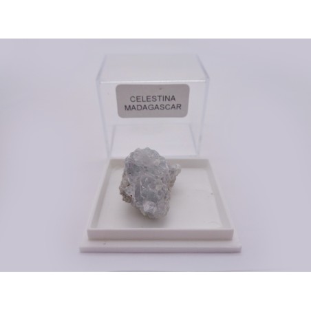 MINERALE DA COLLEZIONE CELESTINA IN SCATOLA SINGOLA