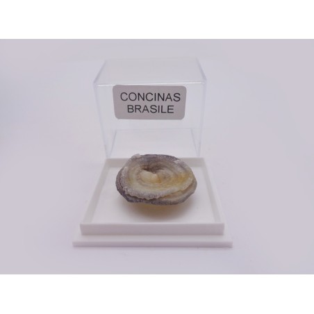 MINERALE DA COLLEZIONE CONCINAS