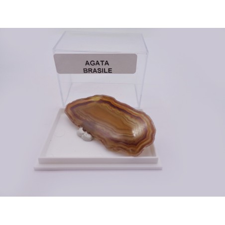 MINERALE DA COLLEZIONE AGATA IN SCATOLA SINGOLA