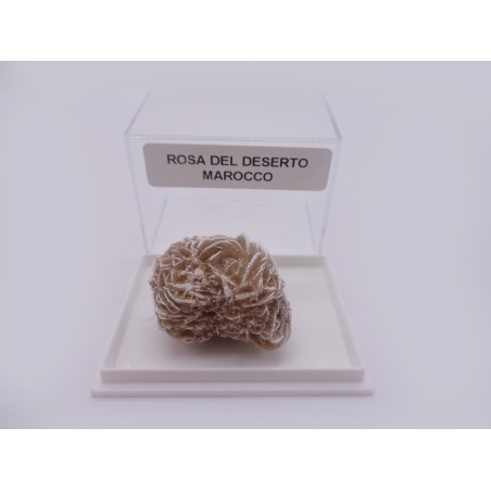MINERALE DA COLLEZIONE ROSA DESERTO