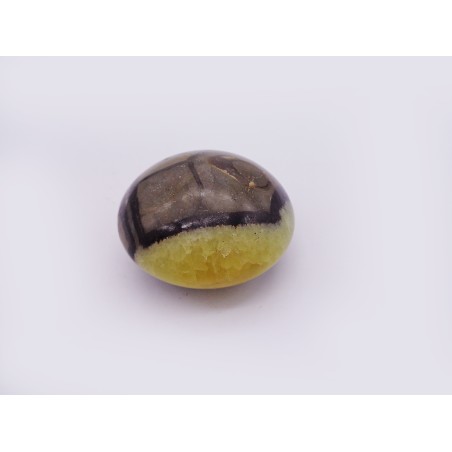 SEPTARIA PER MASSAGGIO