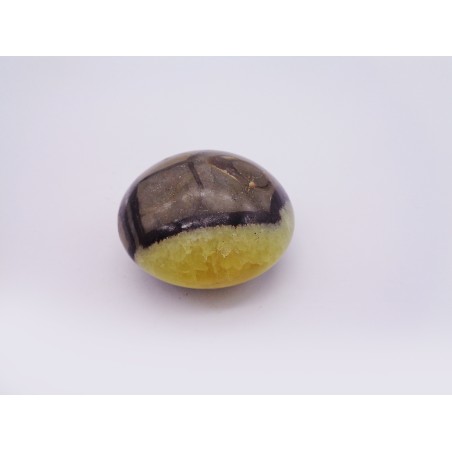 SEPTARIA PER MASSAGGIO