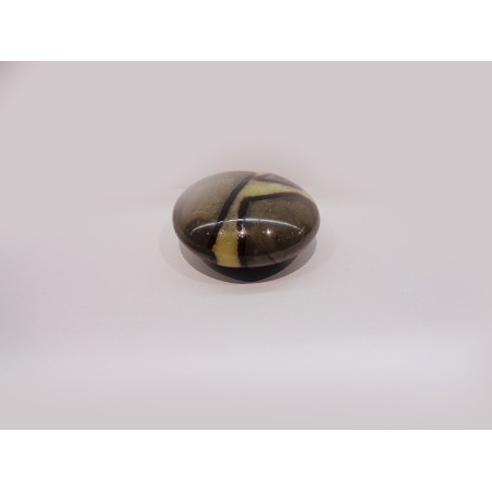 SEPTARIA PER MASSAGGIO