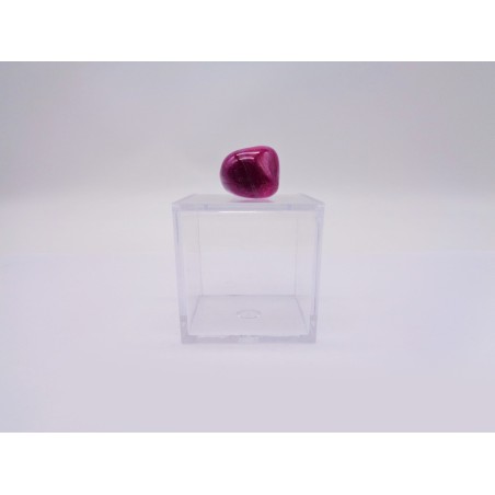 SCATOLINA DEL SEGNO PESCI