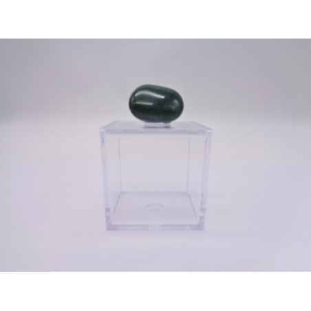 SCTOLINA DEL SEGNO TORO