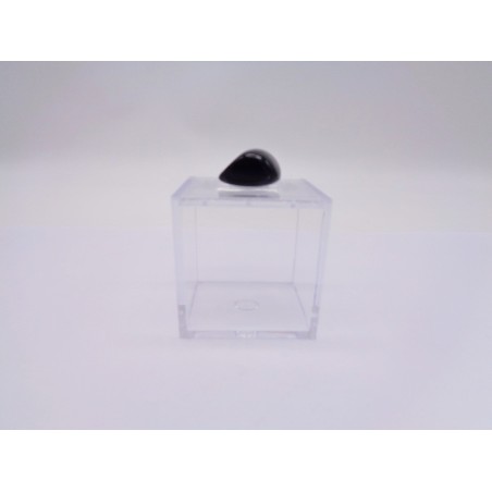 SCATOLINA DEL SEGNO PESCI