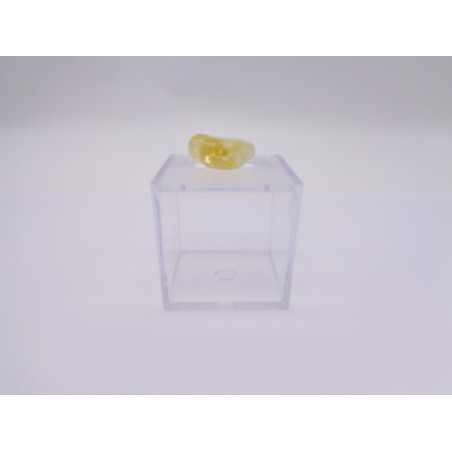 SCATOLINA DEL SEGNO SAGGITTARIO