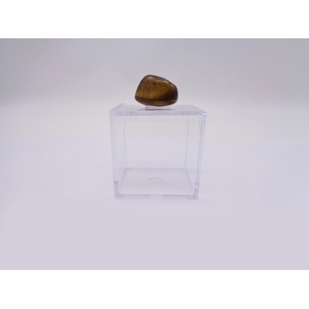 SCATOLINA DEL SEGNO LEONE