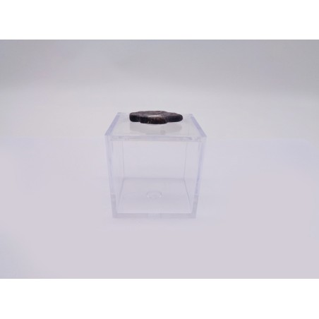 SCATOLINA DEL SEGNO BILANCIA