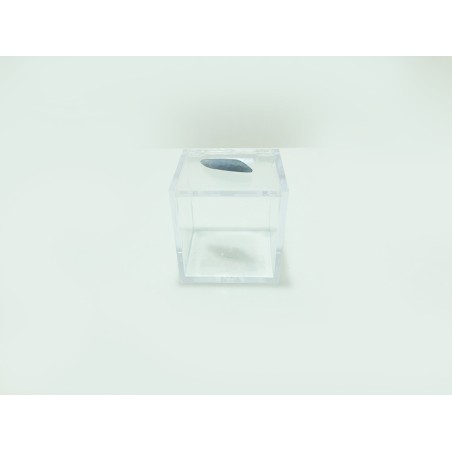 SCATOLINA DEL SEGNO PESCI